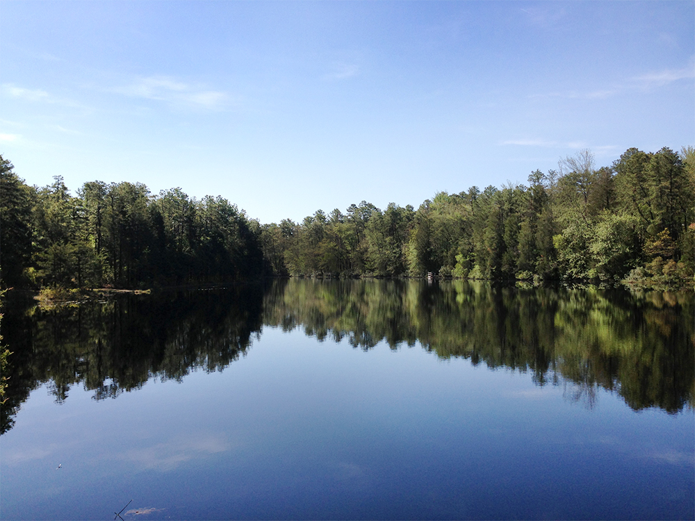 image of lake at Brendan Byrne State Forest