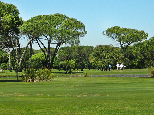 Pinelands Golf Course