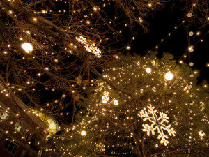Nights of Lights | NJ Holiday Events 