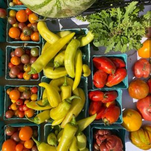 image of Laurel Market - South jersey farmers market