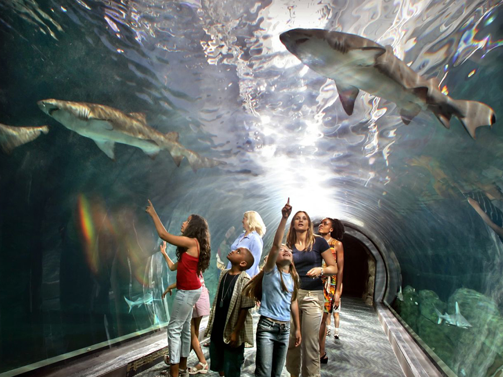 Route 30 - Adventure Aquarium