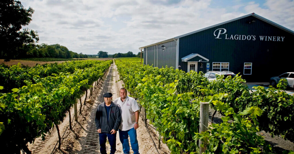 636326078434422398-Plagidos-Winery-A.jpg copy