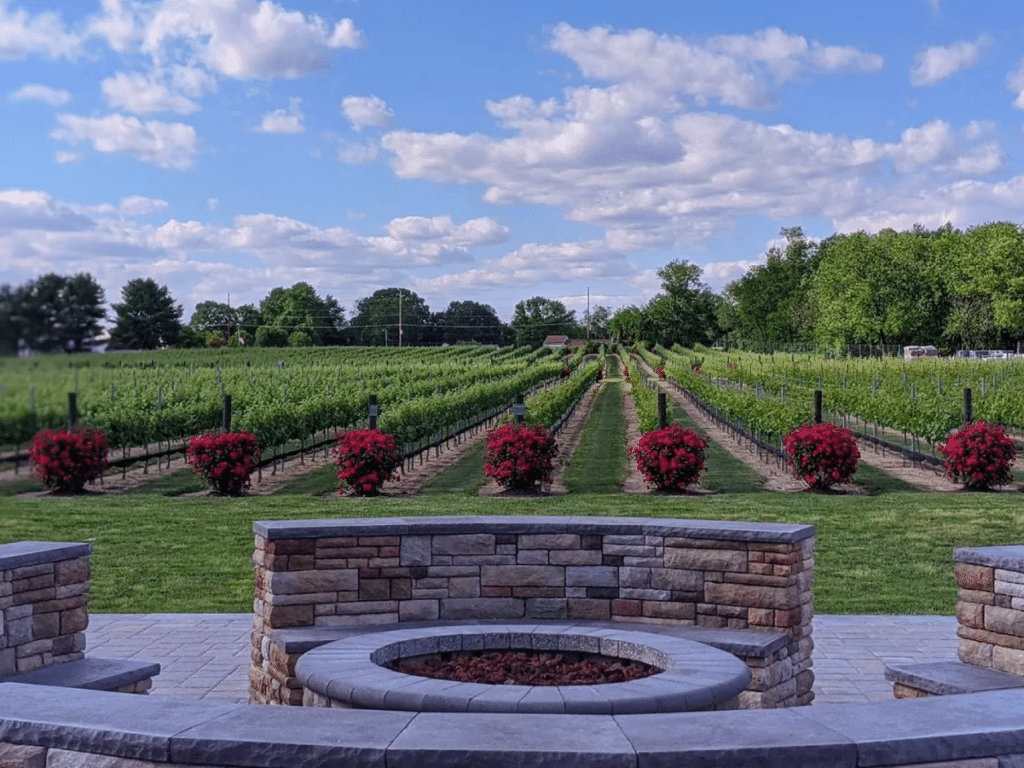 Blue Cork Winery - Williamstown NJ | Estate Vineyard in South Jersey