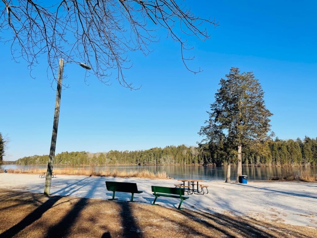 bench