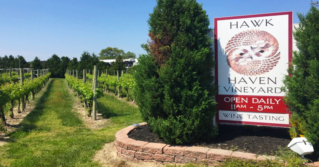 fbb8a277-ee19-46ea-bd26-1f52c8f8c722-Hawk_haven_Vineyard_in_Rio_Grande_IMG_4206.JPG copy
