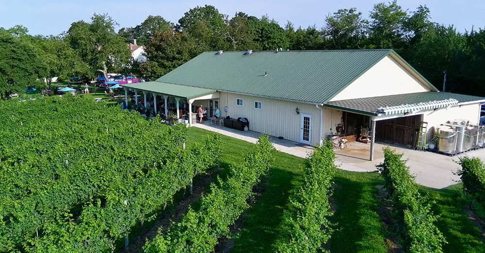 jessie-creek-3-vines.jpg copy