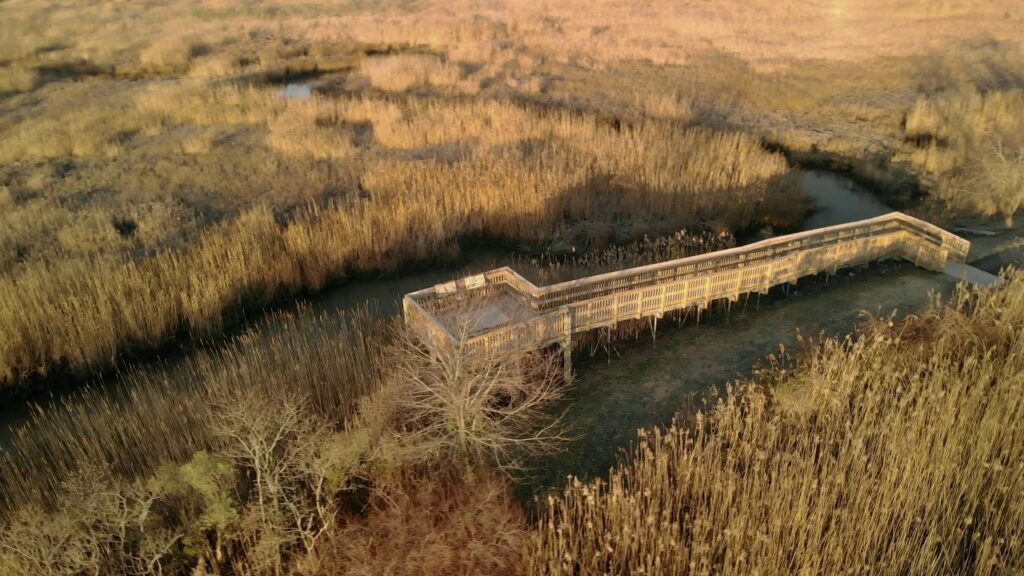 image of wetlands in south jersey
