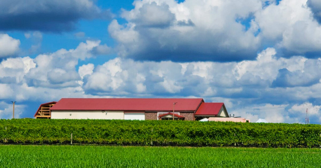 terra-nonno-winery copy