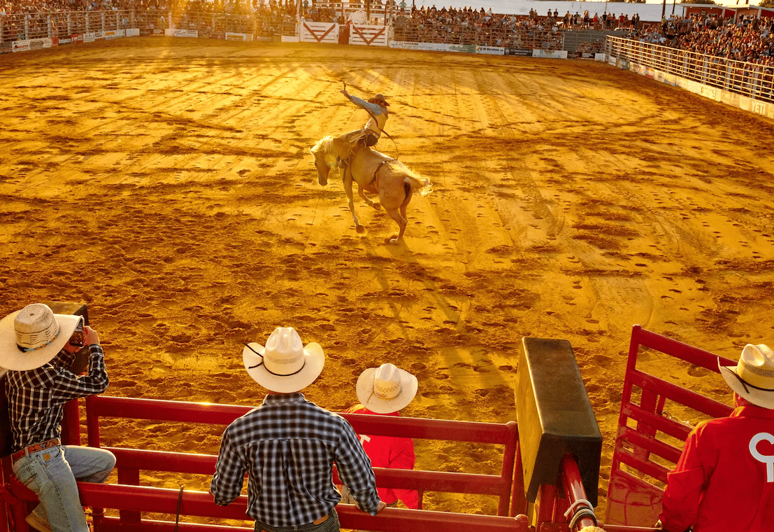 New York Times One of the Oldest Rodeos in America Is in New Jersey