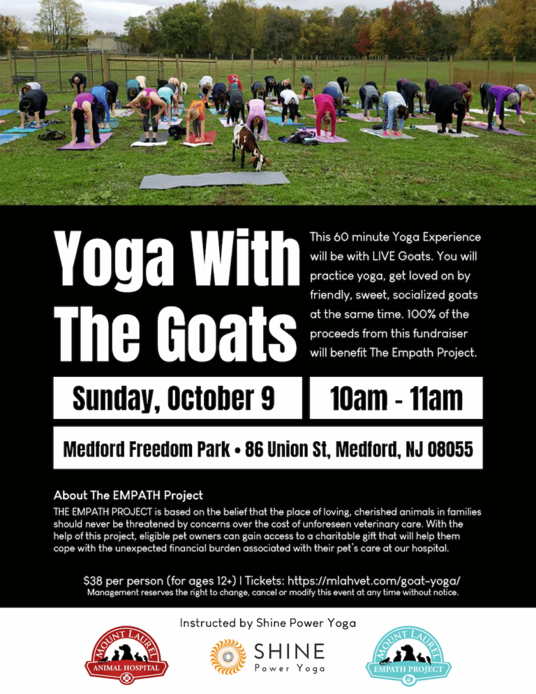 Yoga With the Goats Visit South Jersey