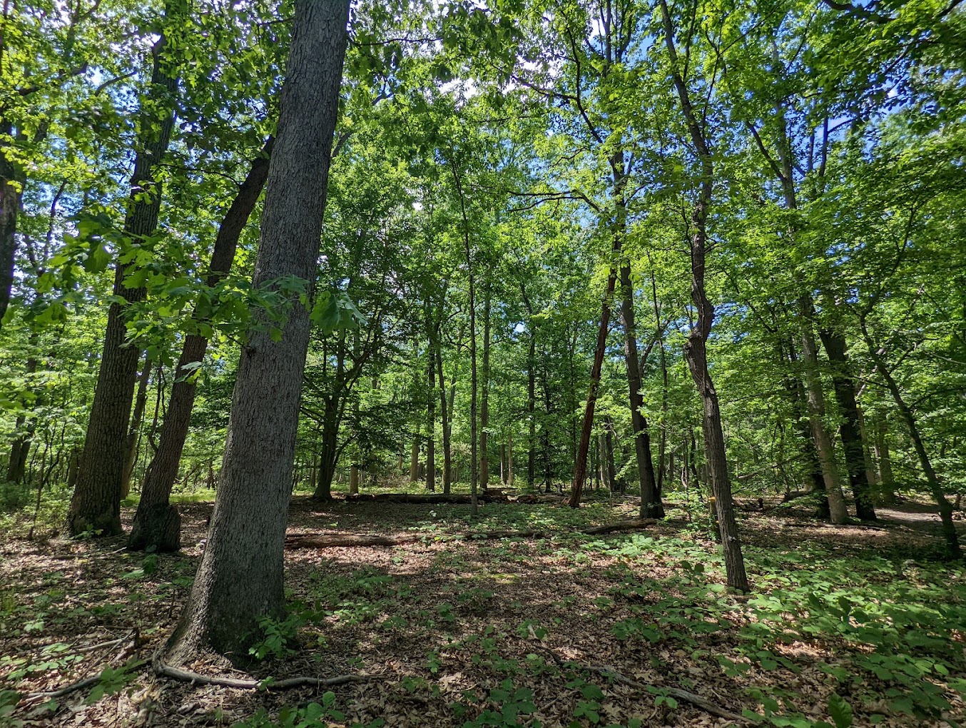 Rancocas State Park Visit South Jersey