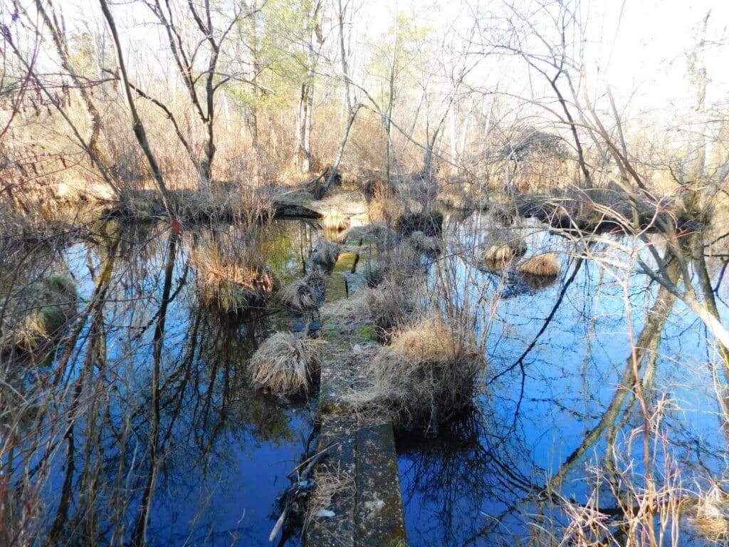 Unexpected_Bridge-3