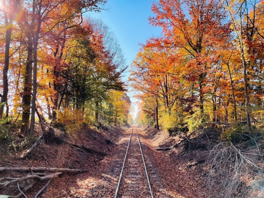 fall rails