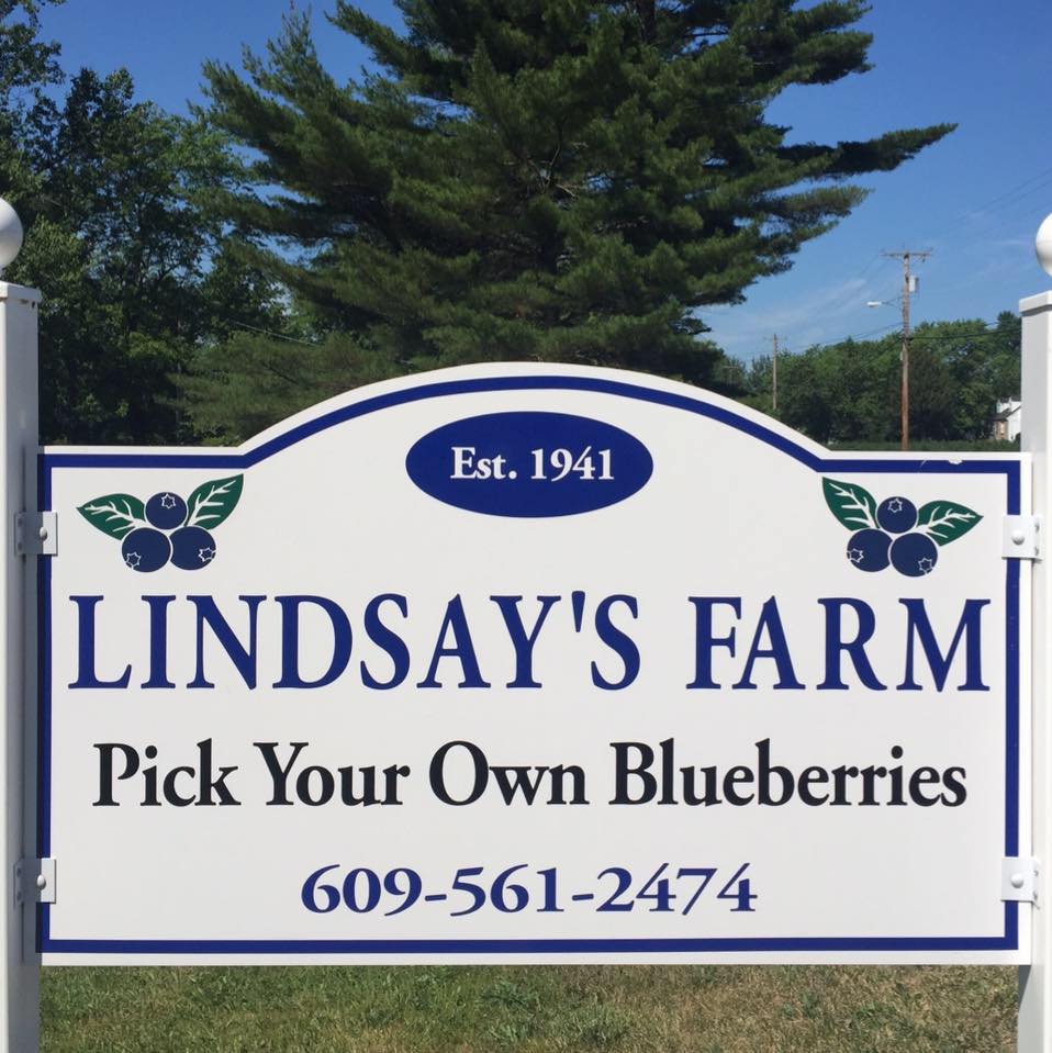 lindsay’s blueberries