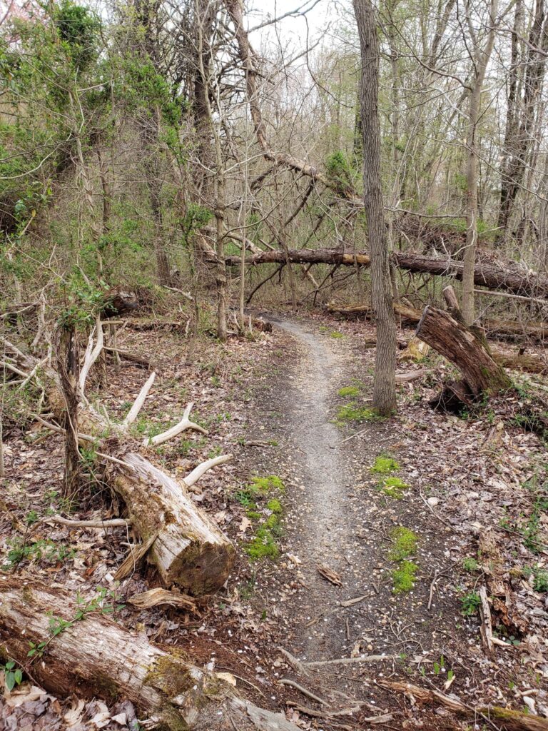 path