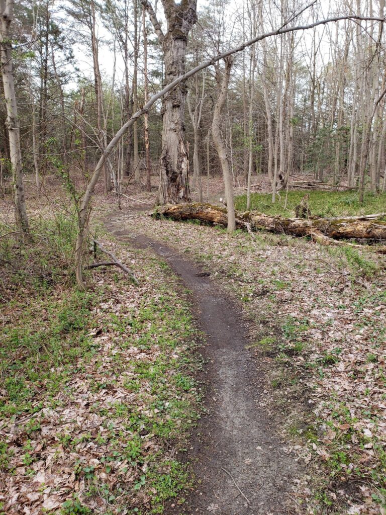 path2