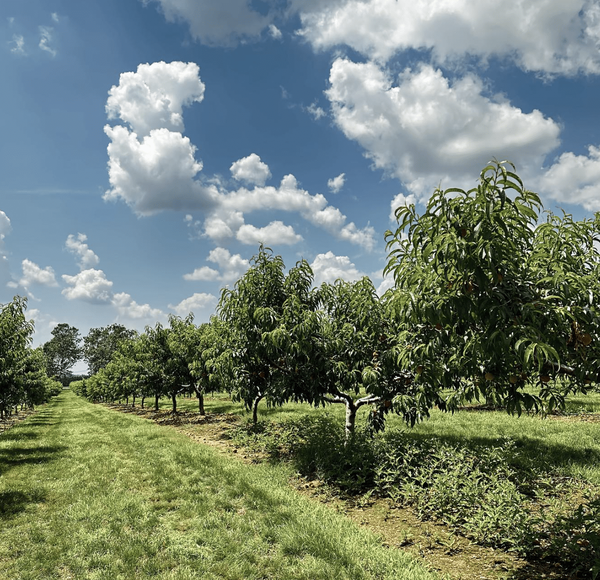 13 Of The Best Farms In South Jersey | Visit South Jersey