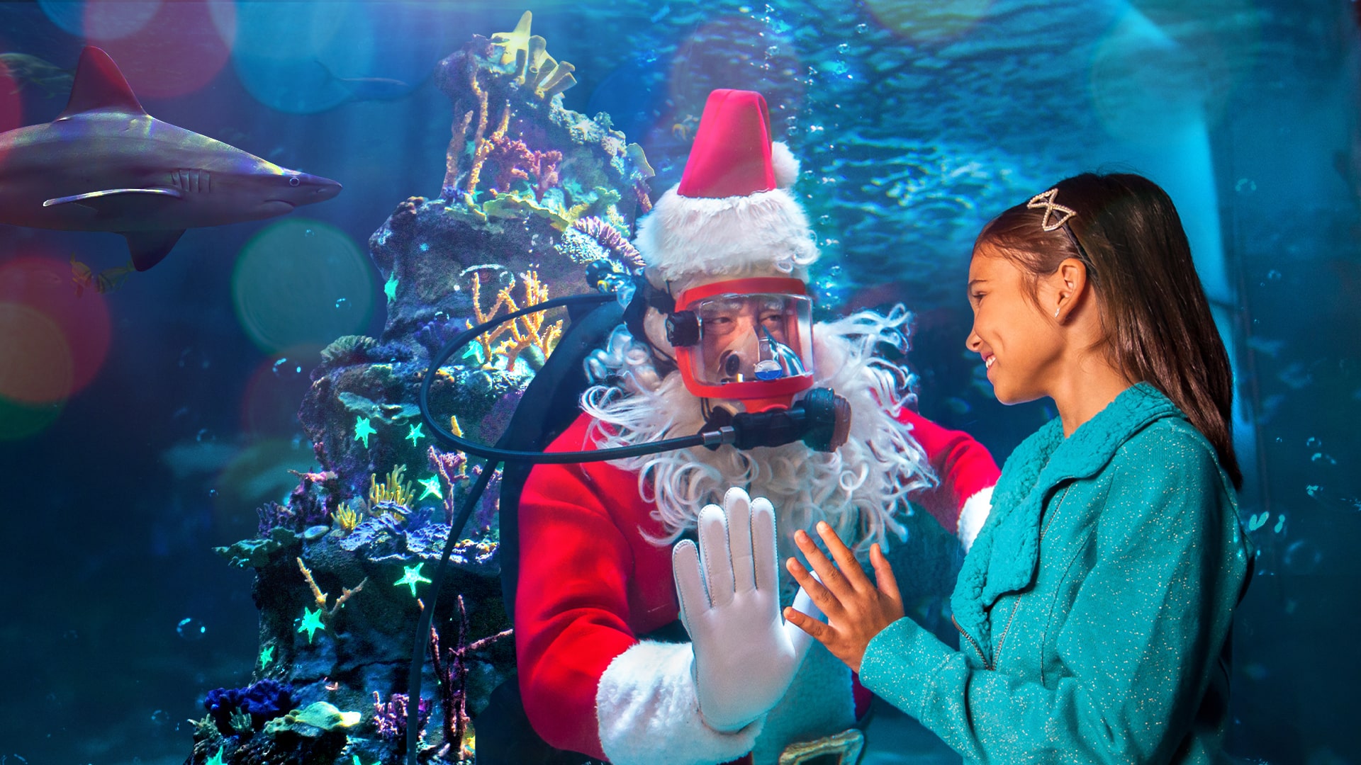 Adventure Aquarium, Christmas Underwater ft. Scuba Santa