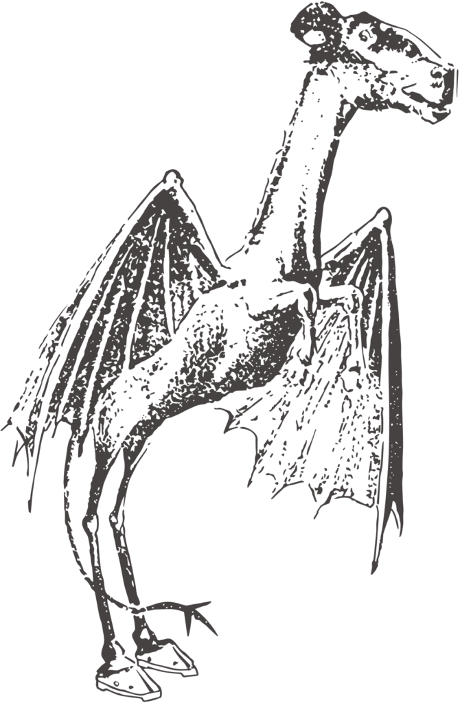 image of the jersey devil