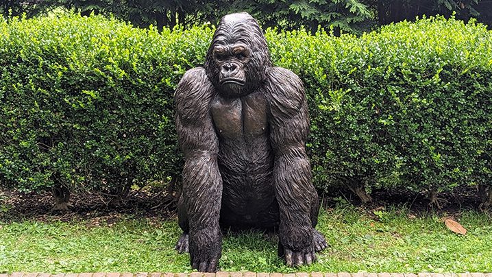 picture of gorilla from Haddonfield Outdoor Sculpture Trust