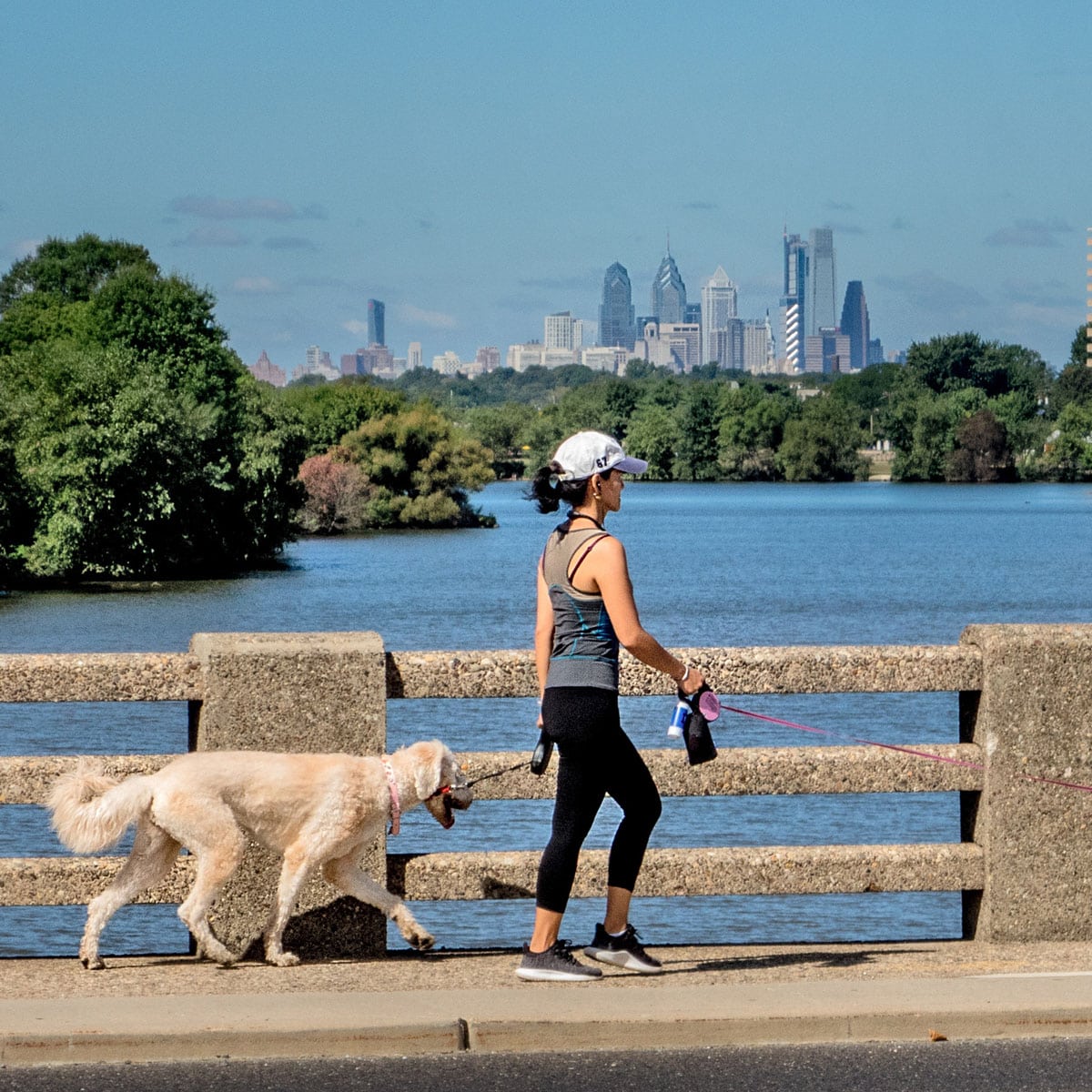 Top 10 PawSome Dog Parks in South Jersey Visit South Jersey