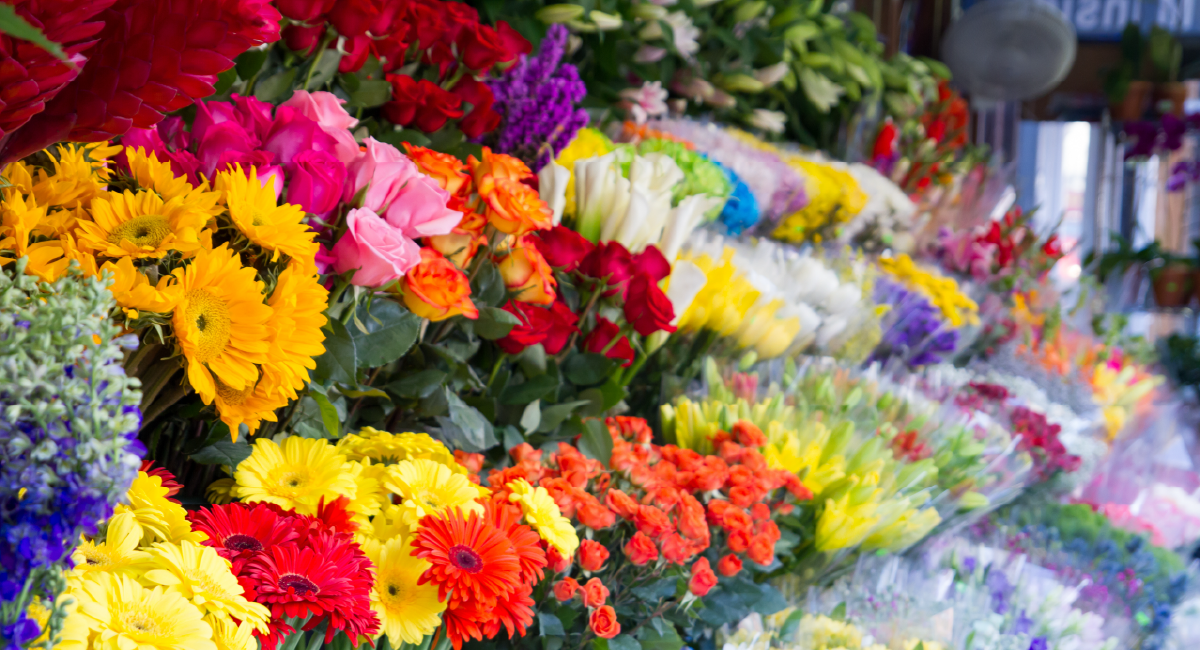 South Jersey Florists- Valentines Day in South Jersey - florists