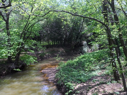 cherry_hill_d