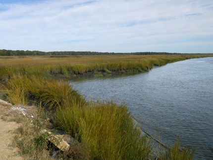port_norris_a