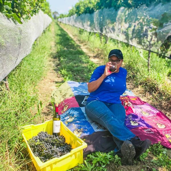 Picnic in the Vineyard Visit South Jersey
