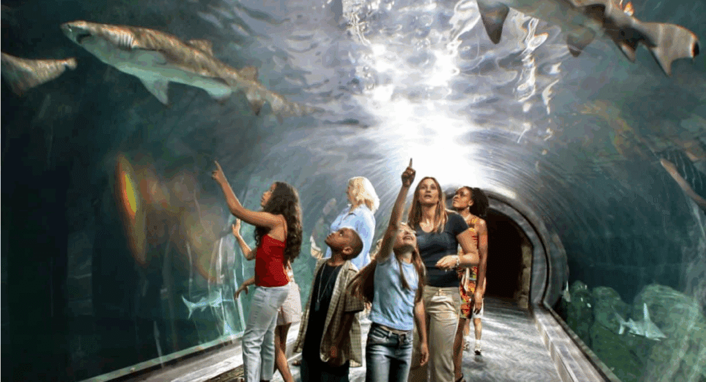 fun family things to do in NJ
