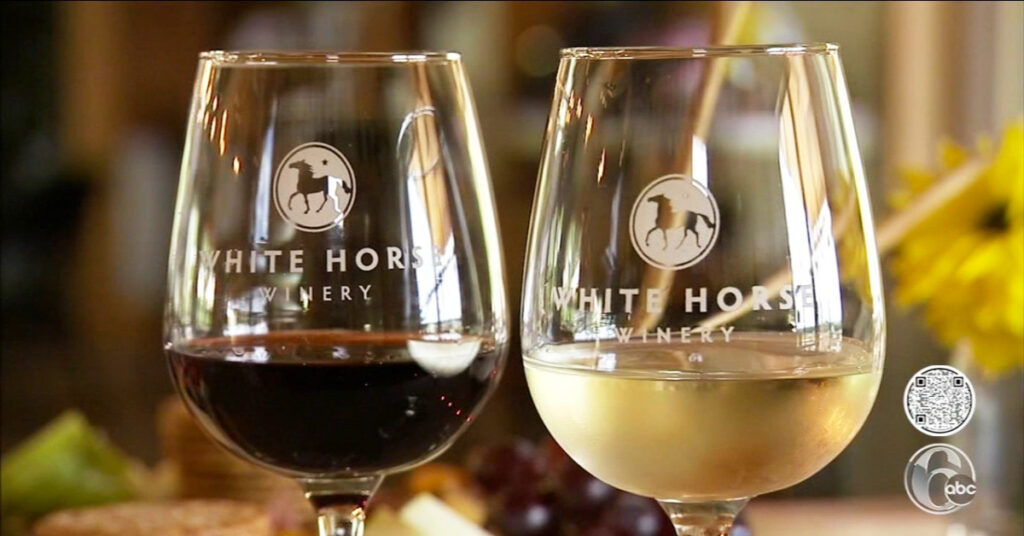 12059826_071822-wpvi-fyi-philly-wineries-vid copy