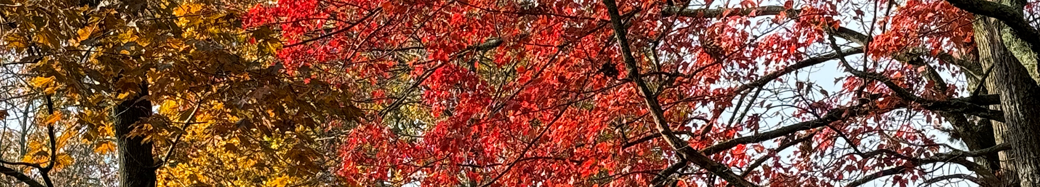 Find Your Fall Colors in South Jersey | Visit South Jersey