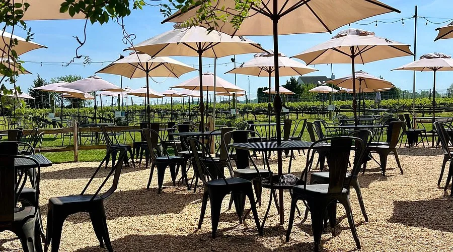 Auburn_road_Vineyard_pilesgrove_4