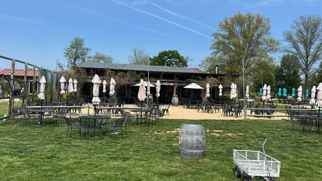 Auburn_road_Vineyard_pilesgrove_6