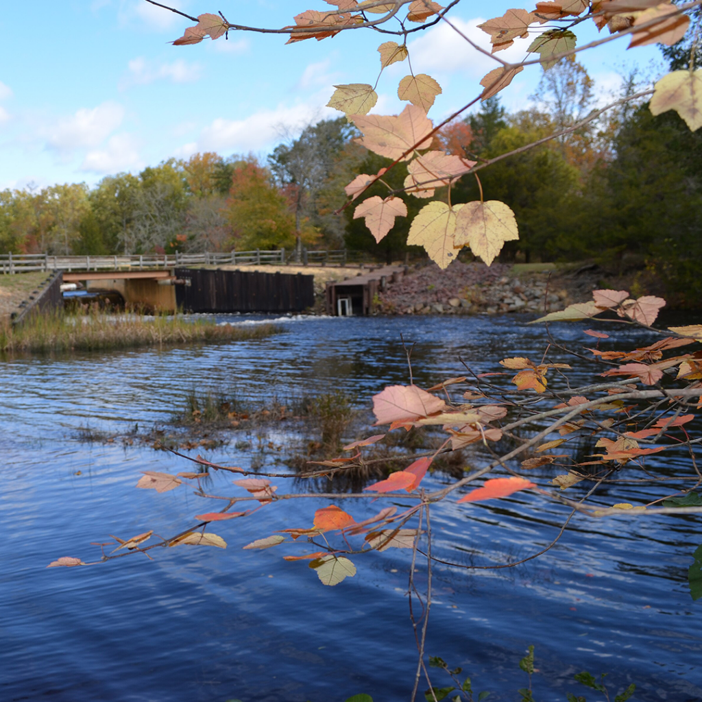 Batsto Dam in the NJ Pinelands in the fall
