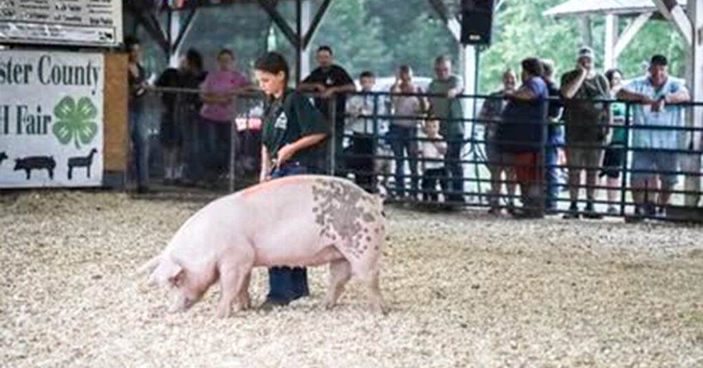 Bringhurst Meats Farm Market