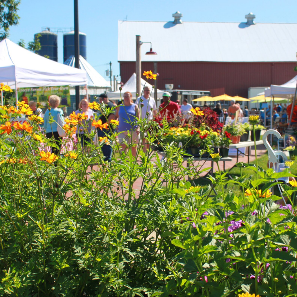 Image of the Burlington County Agricultural Center Farmers Market