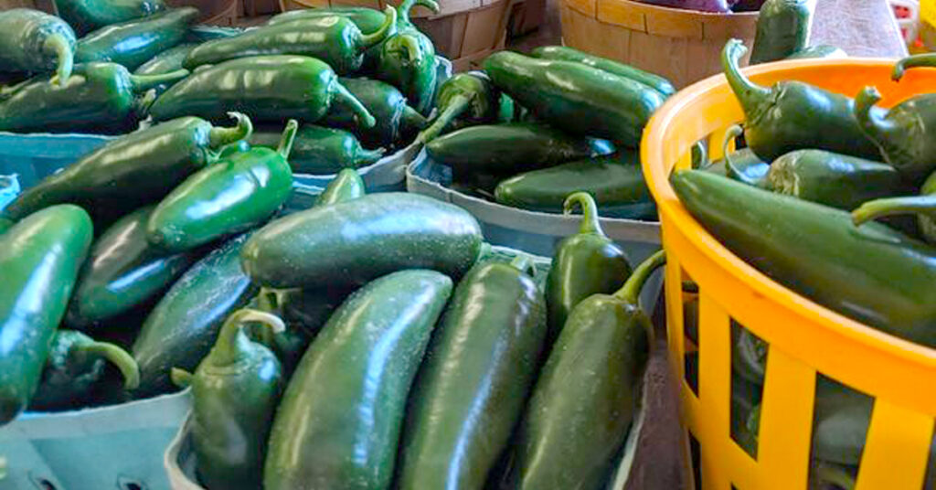 Fruit Valley Farm