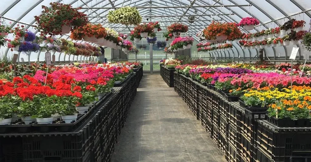 G & G_farm_market_swedesboro_2