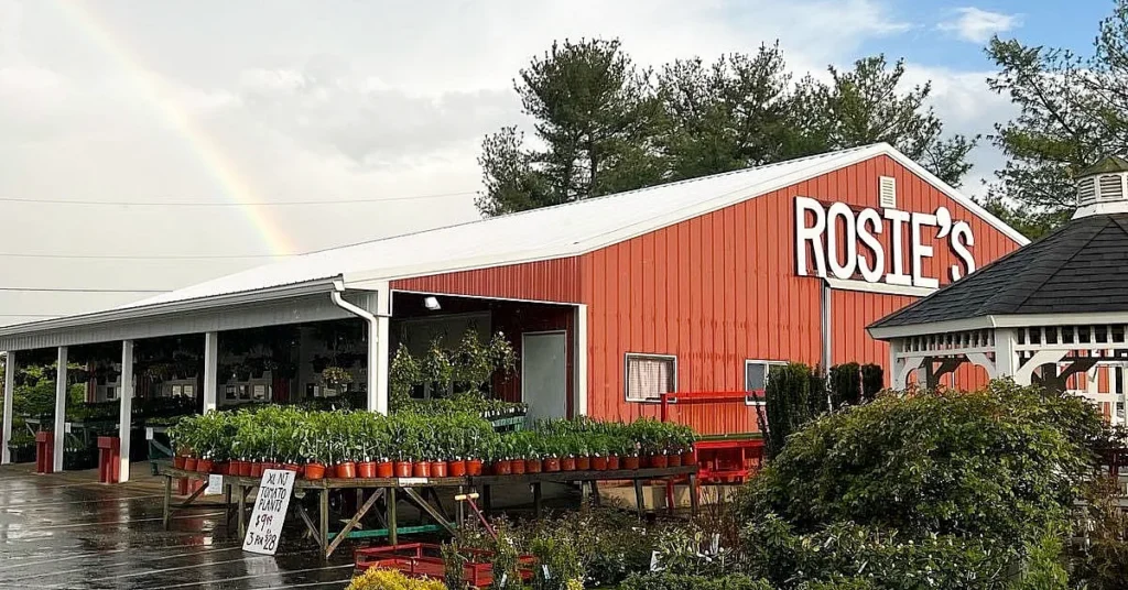 Rosies_farm_market_franklinville_2