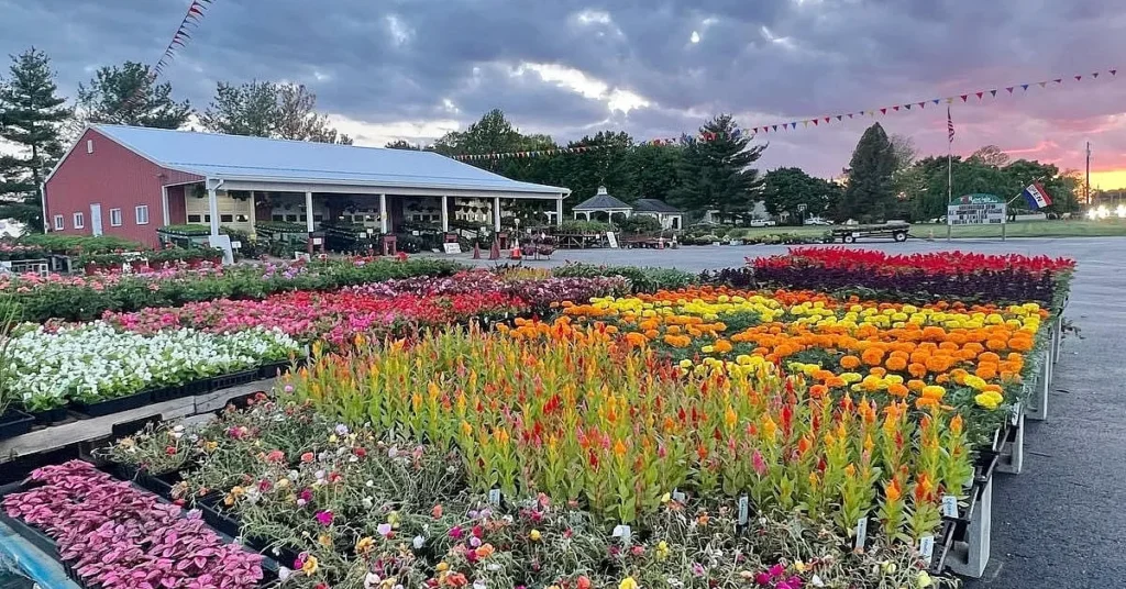 Rosies_farm_market_franklinville_3