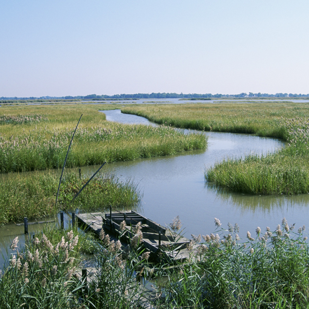 Early Fall Scene at Supawna Meadows Wilelife Refuge in Salem County