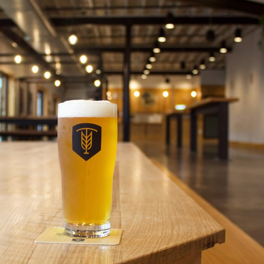 Glass of beer at Tonewood Brewing