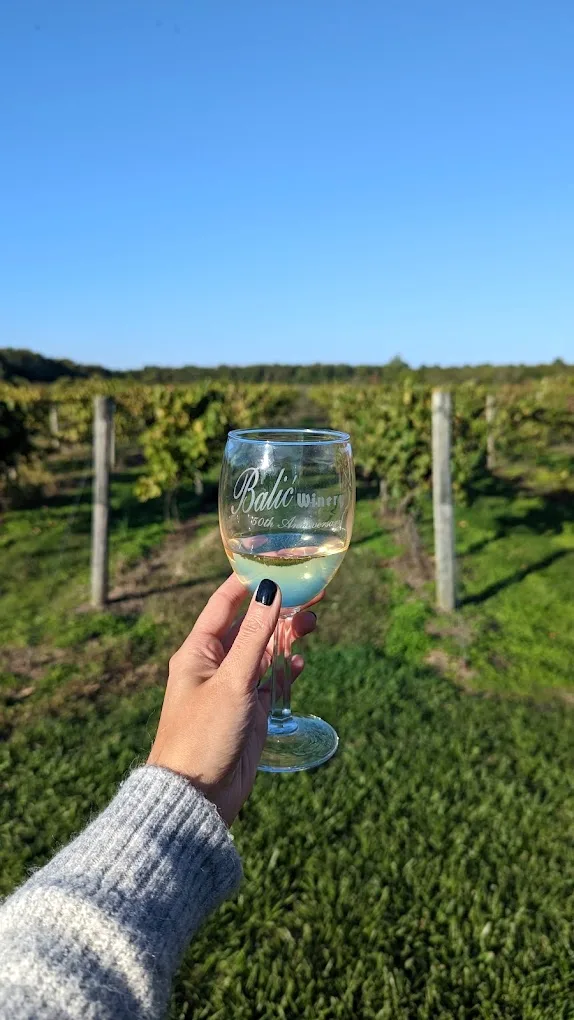 balic_winery_mays_landing_7