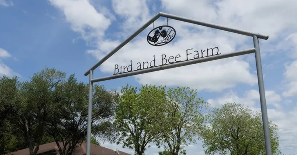 bird_and_bee_columbus_featured