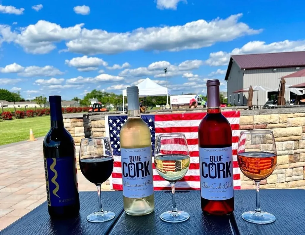 blue_cork_winery_williamstown_1