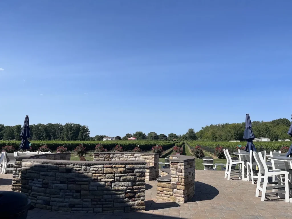 blue_cork_winery_williamstown_5