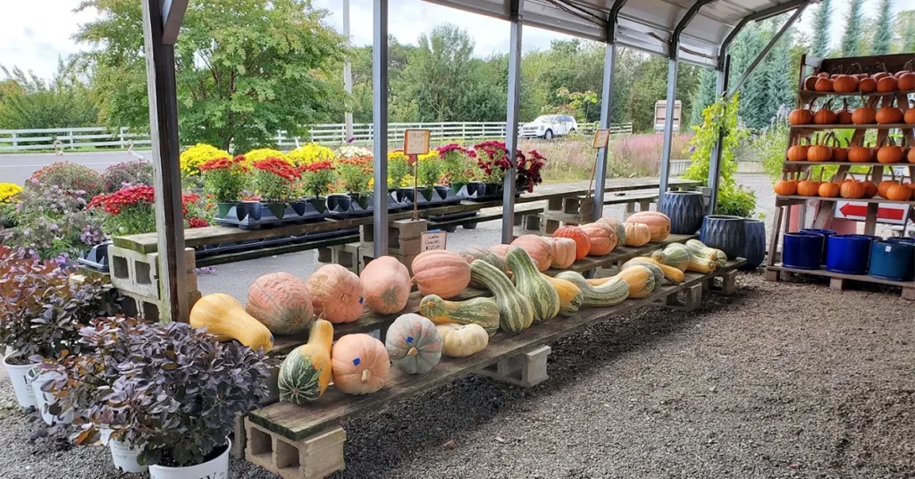 byrne_farm_pilesgrove_1