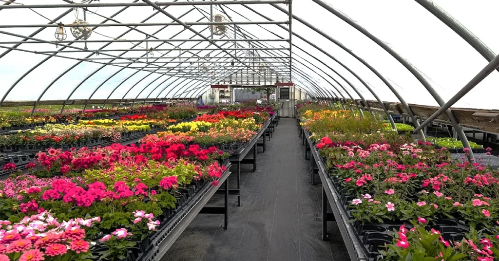 byrne_farm_pilesgrove_3