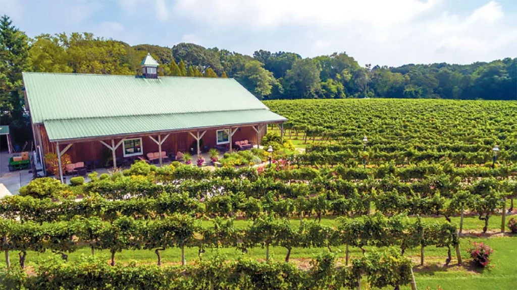 cape_may_winery_cape_may_1